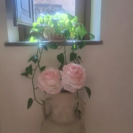 La Rosa Del Castello Apartament